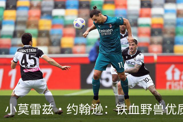 小莫雷兹·约翰逊：铁血野兽优质冠军拼图 开发三分顺位直逼乐透